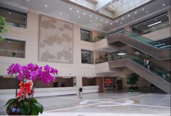 新版醫(yī)療機構設置規(guī)劃發(fā)布！首次明確公立醫(yī)院分院區(qū)概念